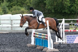 Class 7 - Fences 3' to 3'3